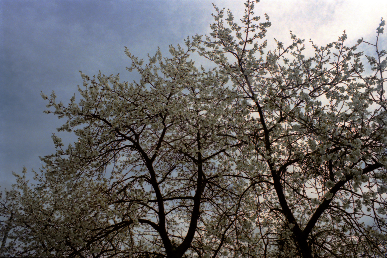 March
