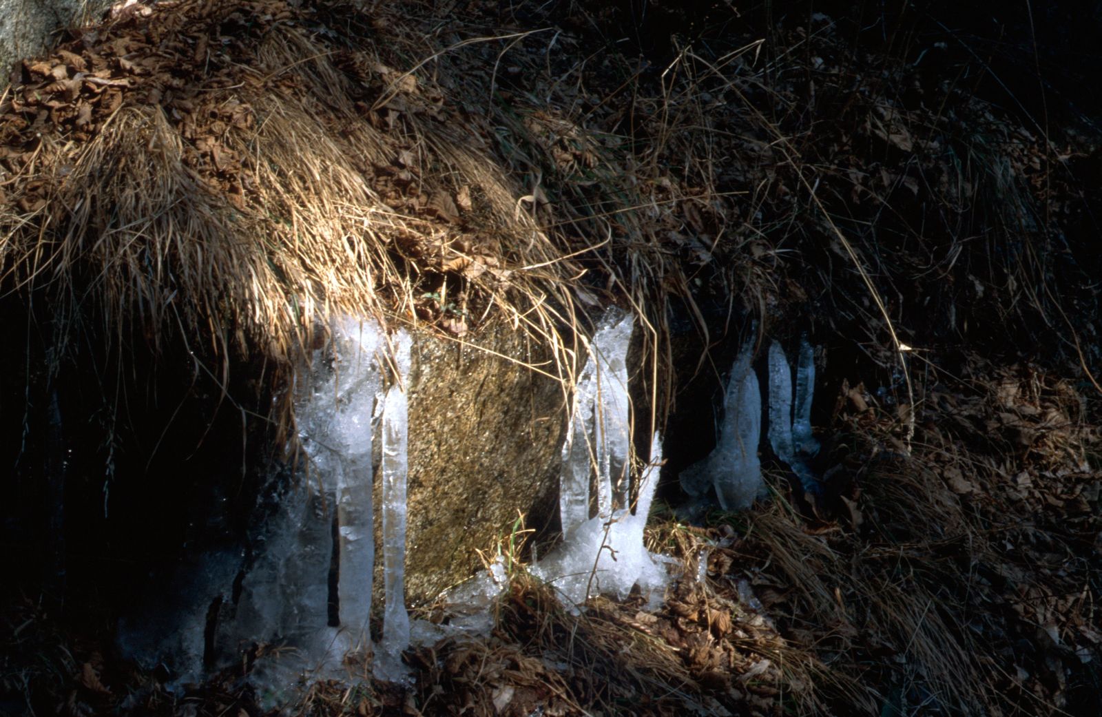 January