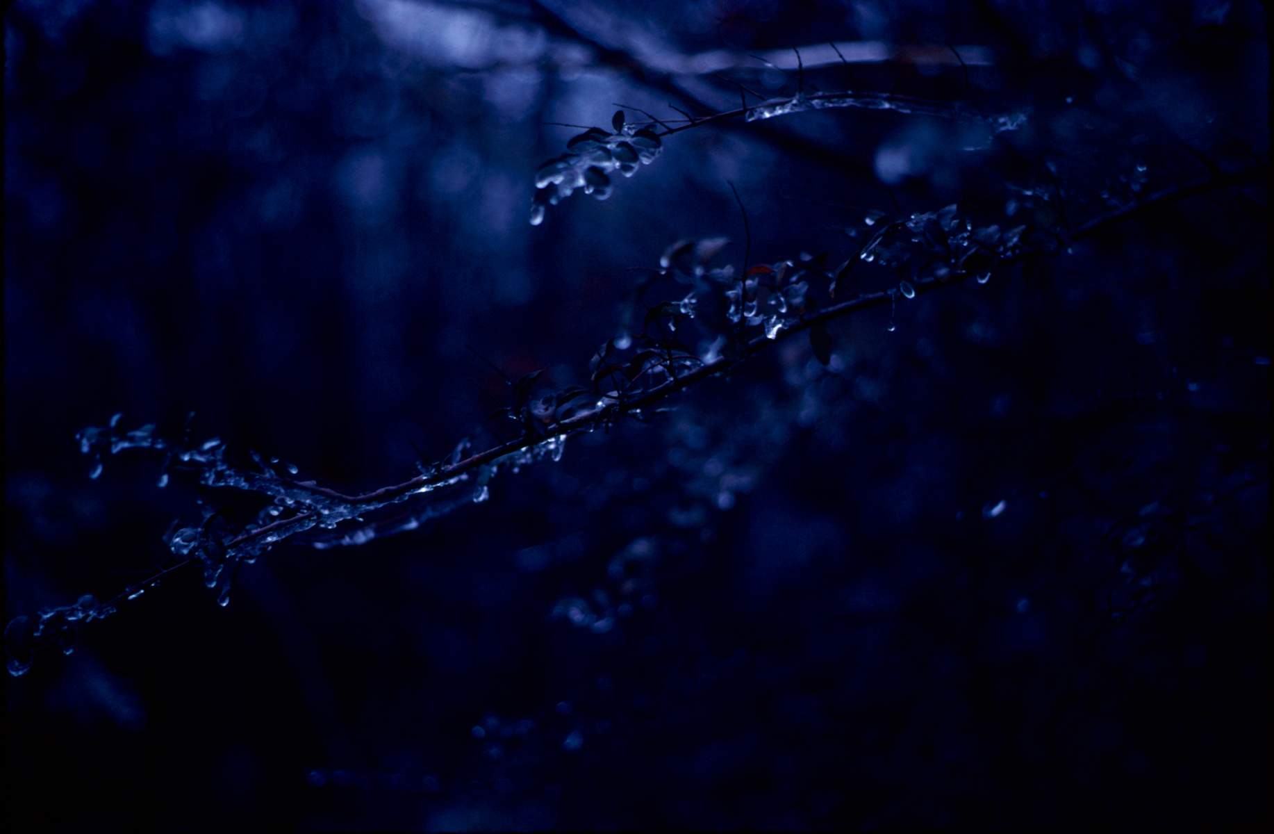 December
